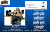 7 maggio Roma 9 maggio Perugia 14 maggio Padova 15 maggio ... presentations_07.pdf · Introduzione: le droghe, ieri e oggi (maggio-giugno 2007) …E’ inimmaginabile un futuro senza