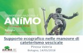 Supporto ecografico nelle manovre di cateterismo vescicale · Supporto ecografico nelle manovre di cateterismo vescicale Pinosa Valeria Bologna, 14/05/2018