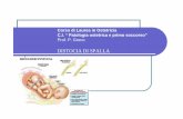 Corso di Laurea in Ostetricia C.I. “ Patologia … di spalla: fisiologia Ma se l’espulsione è spontanea è spesso la spalla posteriore ad uscire per prima perché il feto usa