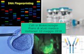 CdS in Biotecnologie Piano di studi medico Vallisneri 10 ... · PDF fileVirologia molecolare (II Sem) CFU I Sem: 21 CFU II Sem: 15 Farmacologia generale e Tossicologia (II Sem) Genetica