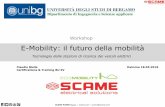 E-Mobility: il futuro della mobilità - ELETTRICI.pdf · Parcheggi quando vuoi su striscia blu ed entri senza limiti in zone a traffico limitato in tante città italiane. 5 anni di