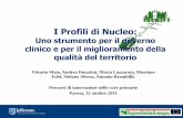 I Profili di Nucleo - Salute Emilia-Romagna · determinato paziente sono condivise informalmente e in base allo caso ... informatici ed amministrativi con le modalità proprie del