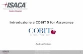 Introduzione a COBIT 5 for Assurance - isaca.org · la fornitura del servizio e l’utilizzo dell’Assurane come parte del governo e della gestione complessiva dell’azienda IT.