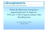 Titoli di efficienza energetica: opportunità per le ... TEE.pdf · TEE per CAR (Cogenerazione Alto ... modalità di riconoscimento della ... a 1,4 nel caso di impianti di potenza