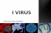 Prof.ssa Grazia Paladino - Benvenuti!!! | CapovolgiLeScienzecapovolgilescienze.altervista.org/wp-content/uploads/2015/04/I... · Secondo i microbiologi i virus non sono esseri viventi