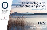 La neurologia tra metodologia e pratica - islandofmeetings.com Summer School... · Perugia si è dedicato alla ricerca ed alla assistenza clinica nel campo delle patologie di pertinenza