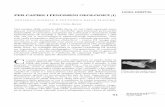 PER CAPIRE I FENOMENI GEOL OGICI (1)emmeciquadro.euresis.org/mc2/26/mc2_26_speciani_fenomeni-geologici... · Alfonso Bosellini , in Emmeciqua-dro n. 2, giugno 1998. che d una spiegazione