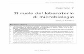 Il ruolo del laboratorio di microbiologia - theific.orgtheific.org/.../uploads/2018/02/Cap07_Microb_Arosio_Rev.27ott.pdf · sono responsabili di malattie nell'uomo. Si suddividono