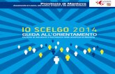 IO SCELGO 2014 - Provincia di Mantova · processo attraverso il quale promuovere il successo formativo e il pieno sviluppo della persona. ... LE OPPORTUNITÀ DOPO LA TERzA MEDIA ...