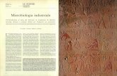 Microbiologia industriale - download.kataweb.itdownload.kataweb.it/mediaweb/pdf/espresso/scienze/1981_159_1.pdf · John Tyndall demolirono la teoria della ... dei modelli di cera