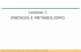 Lezione 1 ENERGIA E METABOLISMO - marcantonio224 · Nella mappa del metabolismo di un organismo, la ... –La principale funzione della glicolisi e del ciclo di Krebs, infatti, è