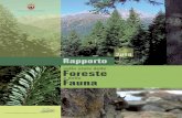 Testo a cura di - Servizio Foreste e Fauna · Rapporto sullo stato delle foreste e della fauna 7 I boschi di neoformazione sono i principali responsabili dell’aumento della superificie