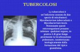 TUBERCOLOSI - UNIVERSITÀ degli STUDI micob.pdf · 1 TUBERCOLOSI La tubercolosi è un’infezione causata da due specie di micobatteri: Mycobacterium tuberculosis e Mycobacterium