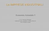 Le IMPRESE INDUSTRIALI - cpelle.xoom.itcpelle.xoom.it/ec_aziendale/imp_industriali_5.pdf · Le IMPRESE INDUSTRIALI Economia Aziendale 5 I.T.C.G. Saraceno Morbegno Laboratorio di Ec.