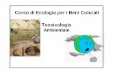 Corso di Ecologia per i Beni Cuturali Tossicologia Ambientale · E' FALSO ritenere che i funghi che vengono mangiati dalle lumache o da altri insetti siano di ... anormalità durante