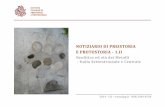 NOTIZIARIO DI PREISTORIA E PROTOSTORIA - 1 · ISTITUTO ITALIANO DI PREISTORIA E PROTOSTORIA NOTIZIARIO DI PREISTORIA E PROTOSTORIA - 1.II Neolitico ed età dei Metalli - Italia Settentrionale