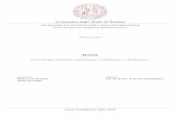 Tesi di Laureatesi.cab.unipd.it/40394/1/dash7.pdf · Universita degli Studi di Padova ... vented for military purposes in the USA in 2009 and now constantly gaining ... radio frequenze