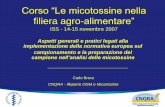 Corso “Le micotossine nella - old.iss.itold.iss.it/binary/cnra/cont/Campionamento - preparazione campione... · Corso “Le micotossine nella filiera agro-alimentare” ISS - 14-15