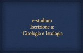 e studium Iscrizione a: Citologia e .Citologia e istologia Docente: Cirotto Carlo Chiave di iscrizione: