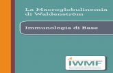Dichiarazione di vision di IWMF La Macroglobulinemia di … · La Macroglobulinemia di Waldenström Immunologia di base Dichiarazione di vision di IWMF Supportare chiunque abbia a