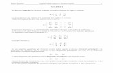 MATRICI - noidelweb.it MULTABILI/NEW_02/Matrici.pdf · Il calcolo del determinante di una matrice di ordine superiore richiede la definizione di minore complementare e di complemento