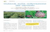 TECNICA Outlook sulla coltivazione del carciofo · tante distretto di Ramacca e infine la provincia di Palermo, dove il comu- ... utile per la prevenzione dei tumori dell’intestino,