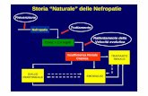 Storia “Naturale” delle Nefropatie - Fisiokinesiterapiafisiokinesiterapia-news.it/NewDownload/Lezione33.pdf · a 1-2 litri / die in 4-5 giorni Necrosi Tubulare Acuta 2. Fase Diuretica