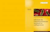 Gestione del rischio clinico - regione.fvg.it · indicazioni per la gestione delle Gestione del rischio clinico infezioni da enterobacteriaceae resistenti ai carbapenemi