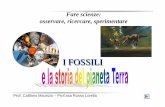 8 I Minerali eFossili x Capaccio - webalice.it Minerali eFossili.pdf · Che cos’è un fossile? ... lussureggianti foreste la cui crescita era favorita da un clima caldo ... continentale,