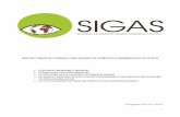 REPORT SIGAS SU CINQUE CASI STUDIO DI CONFLITTO …asud.net/wp-content/uploads/2014/10/Report-cinque-casi-studio.pdf · 2 M. Andretta, Da Campania felix a discarica. Le trasformazioni