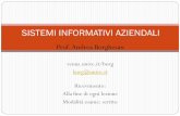 SISTEMI INFORMATIVI AZIENDALI - venus.unive.itvenus.unive.it/borg/SistInf-3.pdf · dall’intero insieme di funzioni di analisi dei dati provenienti da ... Tecniche di classificazione