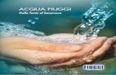 ACQUA FIUGGI · per le proprietà benefiche della sua acqua, nota per gli effettidiuretici , la capacità di stimolare la funzionalità del rene e le capacità depurative. È possibile