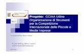 Progetto: CCIAA Udine Organizzazione di Strumenti per la ... · Progetto: CCIAA Udine Organizzazione di Strumenti per la Competizione Internazionale delle Piccole e ... L’attuale