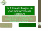 La filiera del biogas: un giacimento verde da esplorarenewweb.riminifiera.it/upload_ist/AllegatiProgrammaEventi/Mannelli... · La filiera del biogas: un giacimento verde da esplorare