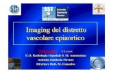 Imaging del distretto vascolare epiaortico - tsrm-prov-fi.it · TC cranio post MDC per valutare alterazione di BEE (patologia steno-occlusiva) ... della patologia vascolare aterosclerotica