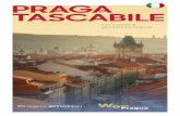 PRAGA TACABILE - Prague.eu · Gli edifici storici più importanti del Castello di Praga 5 Città Piccola (Malá Strana) 9 ... dinaria simbiosi di monumenti appartenenti a tutti gli