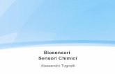 Biosensori Sensori Chimici - centropiaggio.unipi.it · –Misura della pressione parziale di ossigeno (PO 2) e anidride carbonica (PCO 2) • Variabili fondamentali ad uso diagnostico