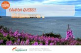 Tour Quebec | Tour in Quebec | Tour Canada · anche circa duecento specie di uccelli marini, mentre dai sentieri costieri lungo il ... (taiga e tundra), dove vivono le mandrie di