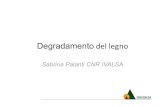 Degradamento del legno - ing.unipi.ita005843/Seminari IVALSA-CNR 10-05-2012... · La resistenza del legno agli insetti dipende da fattori quali le proprietà anatomiche, le proprietà