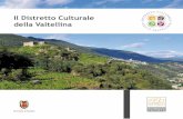 Il Distretto Culturale della Valtellina · e filiere economiche, l’innovazione e la sostenibilità delle azioni proposte. ... lorizzazione del paesaggio, delle tradizioni e della