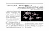 Cellule e tessuti, il design della natura - MUSE microscopia.pdf · greti della struttura della cellula ed ... l’organismo vegetale oggetto di studio. Per una corretta ed efﬁ