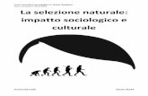 Liceo scientifico-tecnologico G. Natta, Bergamo Anno ...nattabg.gov.it/wp-content/uploads/ArchivioDiplomati/LST_as13-14/5... · Per Aristotele gli organismi viventi esistevano da