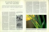Il controllo biologico delle erbe infestantidownload.kataweb.it/mediaweb/pdf/espresso/scienze/1991_277_5.pdf · certi esseri viventi, in primo luogo insetti e microrganismi. G ...