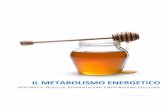 IL METABOLISMO ENERGETICO - gscatullo.altervista.orggscatullo.altervista.org/wp-content/uploads/2015/10/Metabolismo... · molecole di piccole dimensioni e agli ioni. Grazie alla presenza