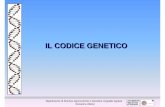 5. Il codice genetico - iaassassari.files.wordpress.com · IL CODICE GENETICO Dipartimento di Scienze Agronomiche e Genetica Vegetale Agraria ... Codice genetico Il DNA contiene l’informazione