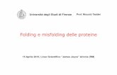 Folding e misfolding delle proteine - liceojoyce.gov.it didattici/Ariccia 2015... · ATCGATCGATCG… DNA UAGCUAGCUAGC… RNA Trascrizione Il folding delle proteine è la “seconda