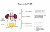 I Blocco PRE-RENALE · Necrosi tubulare Necrosi papillare Per COMPRESSIONE -Tumori vari -Fibrosi (lesioni bilaterali ... funzione del rene, con o senza decremento del GFR, manifestata