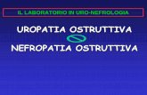 UROPATIA OSTRUTTIVA NEFROPATIA OSTRUTTIVA · un rene ostruito estremamente compromesso condizionata dallo studio scintigrafico con ... funzione tubulare Dopo rimozione dell’ostruzione