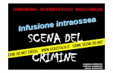 Guglielmo IMBRIACO Giovanni GAMBERINI Alberto PIACENTINI convegno ASAC.pdf · Infusione intraossea L’intervento del sanitario sulla scena del crimine Modena 15 e 16 maggio 2009