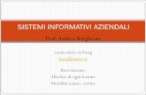 SISTEMI INFORMATIVI AZIENDALI - venus.unive.itvenus.unive.it/borg/SistInf-1.pdf · SISTEMI INFORMATIVI AZIENDALI. Sistemi informazionali La crescente diffusione dei sistemi informativi